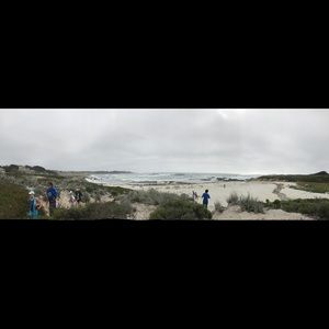 Meet your Posher, Marcos